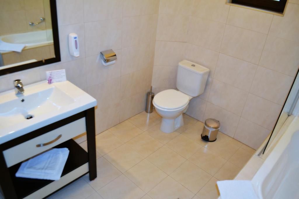Отель Krystal Boutique Mansion Хунедоара-53