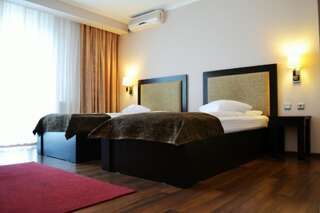 Отель Krystal Boutique Mansion Хунедоара Стандартный двухместный номер с 2 отдельными кроватями-1